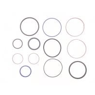 Seal Kit, 7347034 для Bobcat v923 TL43.80HF TL923